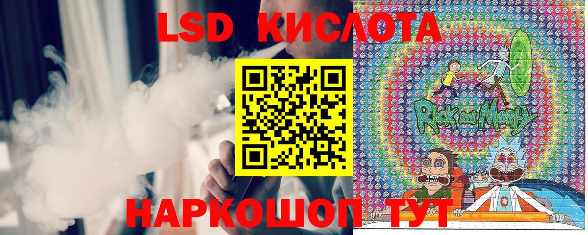 A PVP Балтийск