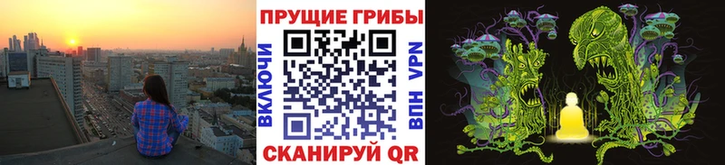 маркетплейс наркотические препараты  Балтийск  Псилоцибиновые грибы Psilocybine cubensis  купить закладку  ОМГ ОМГ рабочий сайт 
