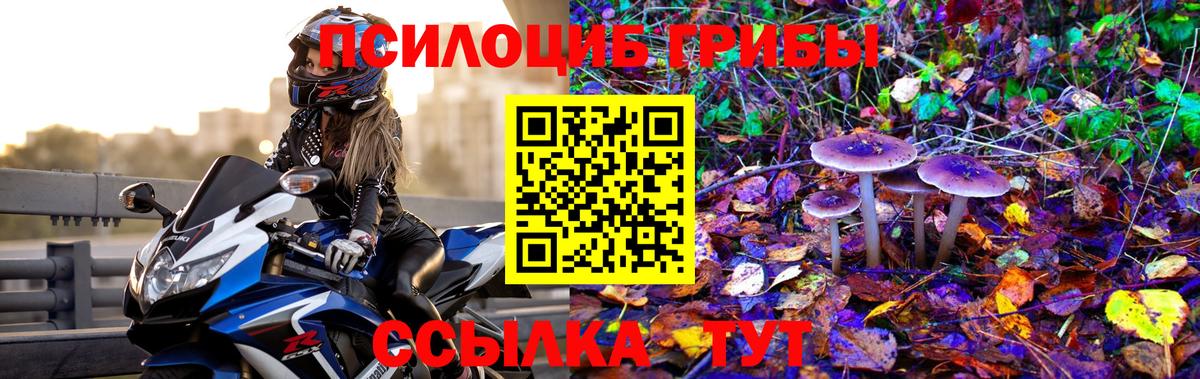Галлюциногенные грибы мухоморы  Вход с VPN  Балтийск  Псилоцибиновые грибы ЛСД 